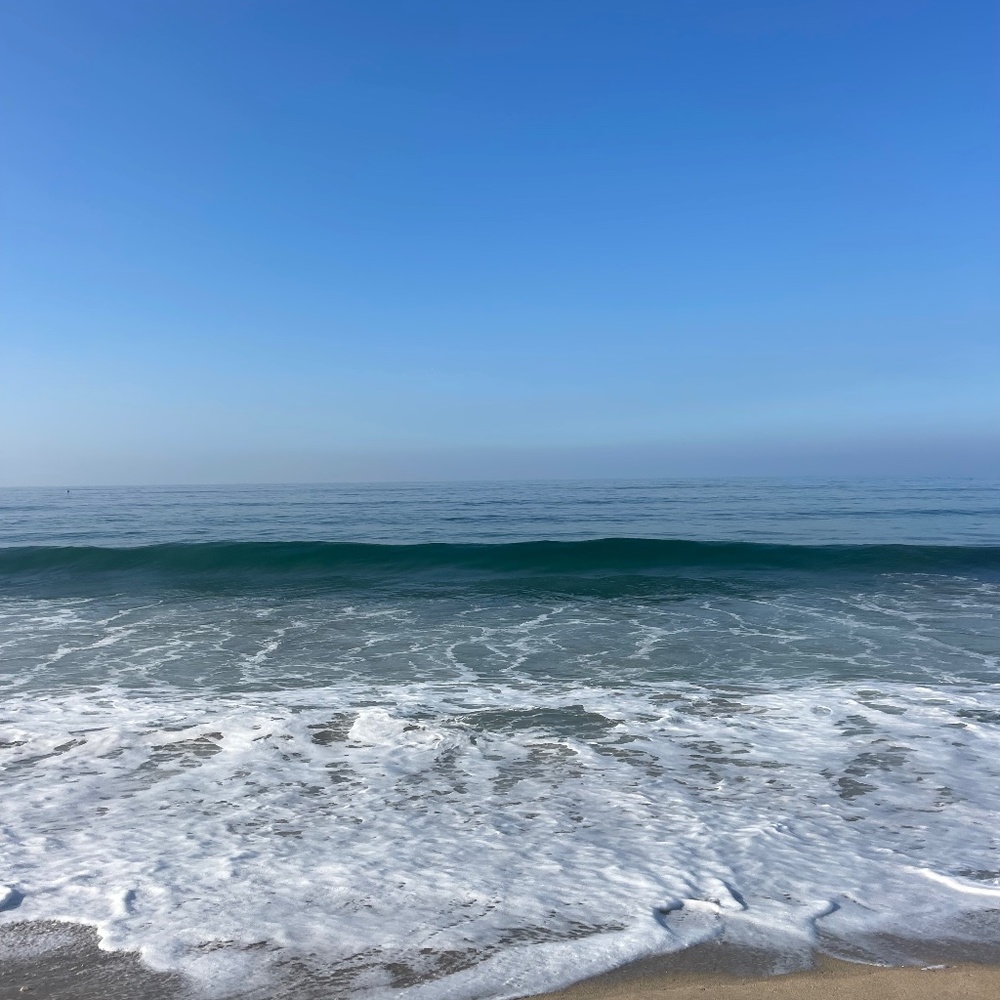 Meet your Posher, Thea